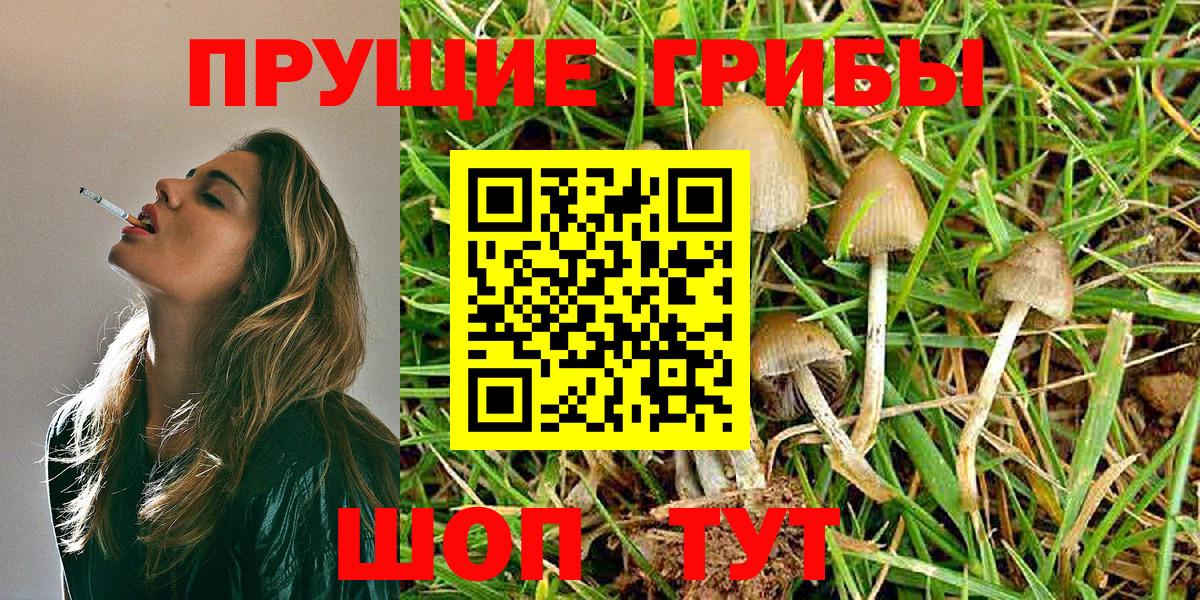 Галлюциногенные грибы MAGIC MUSHROOMS  Вход с VPN  Майкоп 